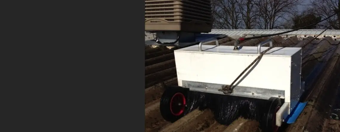 Asbestos Roof Cleaning and Coating Process