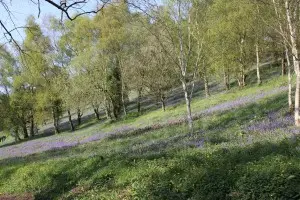 Asbestos environmental responsibility